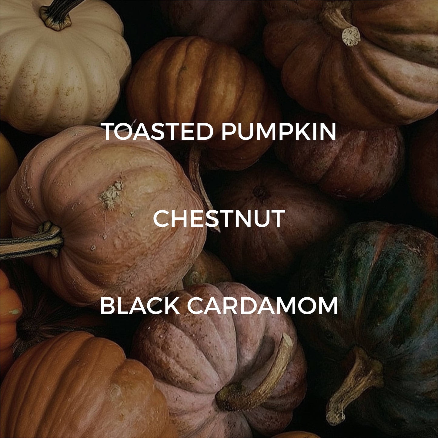 Velvet Pumpkin Mini Candle - FALL / HOLIDAY