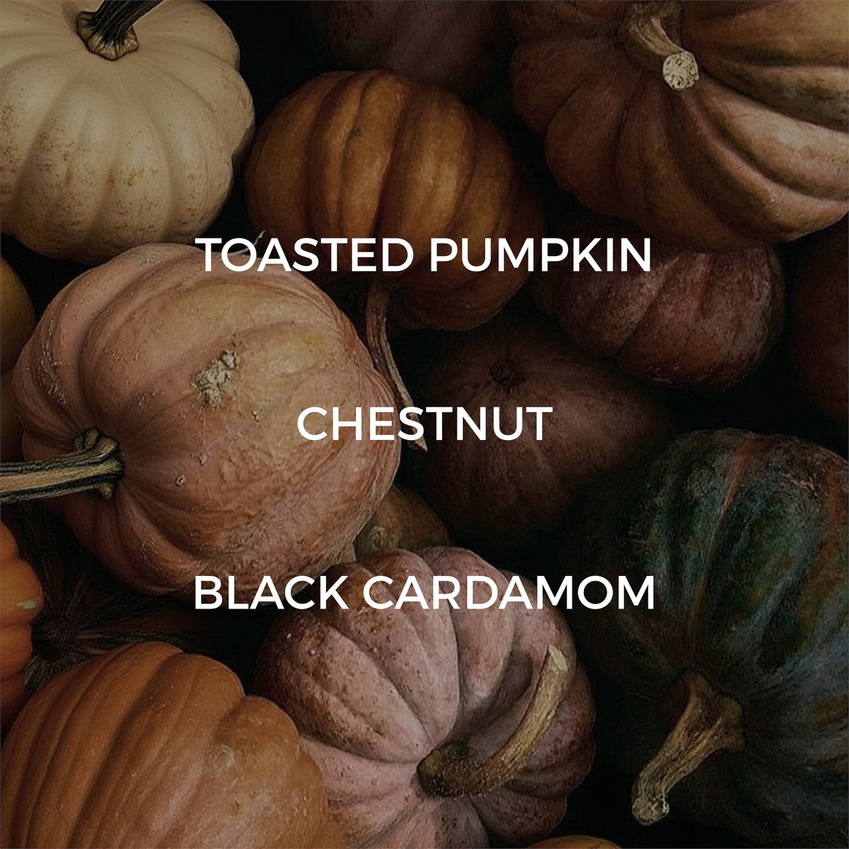 Velvet Pumpkin Candle - FALL / HOLIDAY